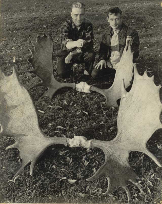 Paul Shepherd and Bob Frush With Huge Moose Racks Paul Shepherd and Bob Frush With Huge Moose Racks - PaulShepherd_BobFrush_HugeMooseRacks.jpg