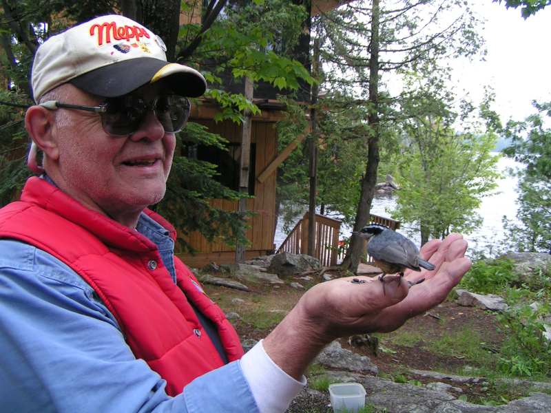 hand feeding a red-breasted nuthatch