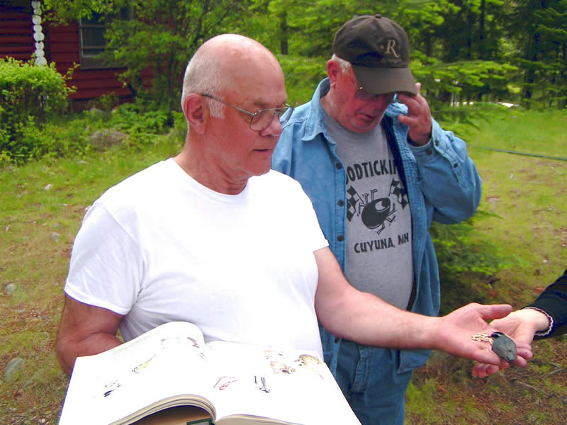 hand feeding a red breasted nuthatch