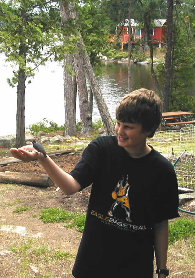hand feeding a redbreasted nuthatch