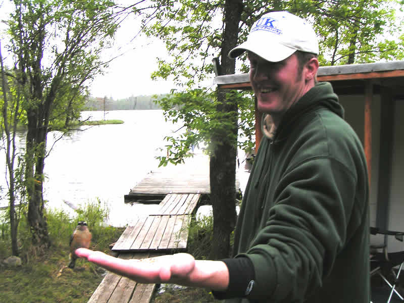 hand feeding a red breasted nuthatch
