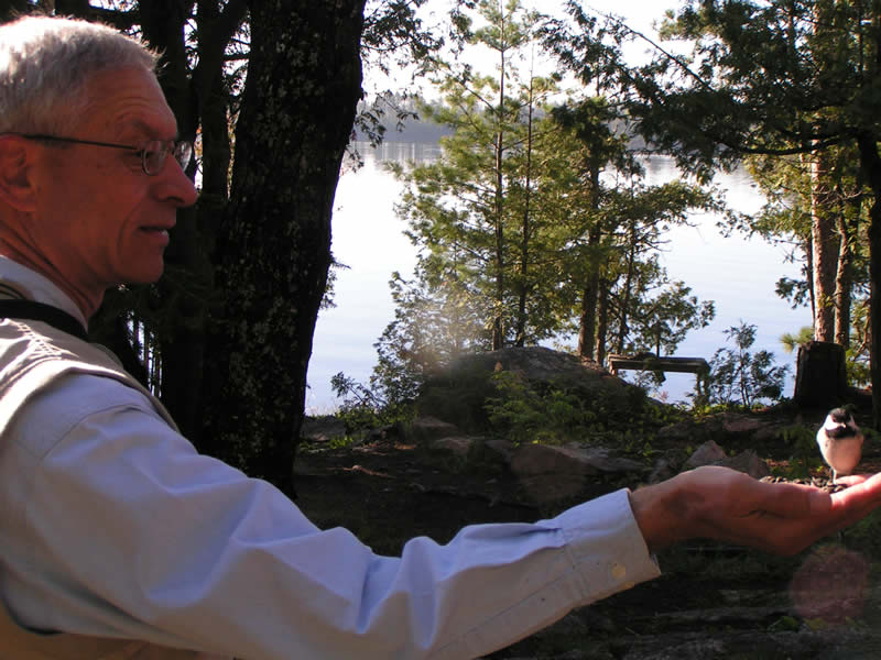 hand feeding a chickadee