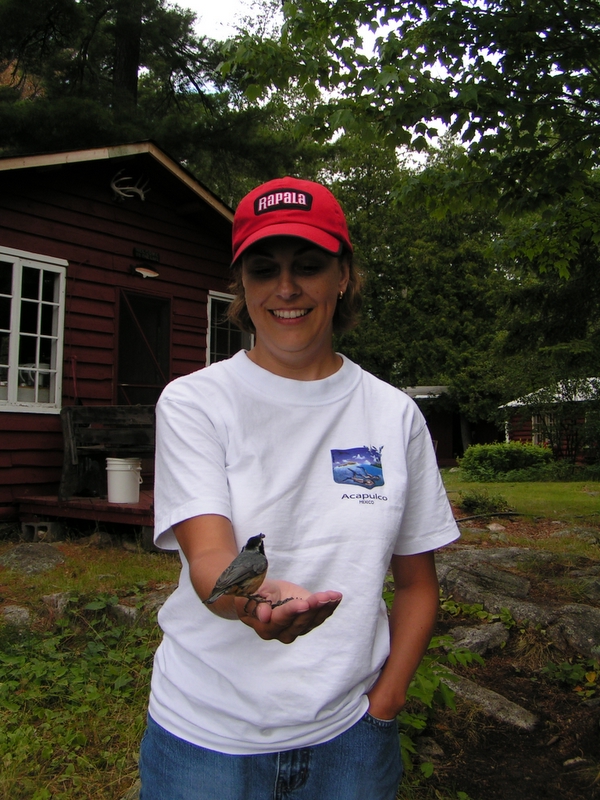 hand feeding a red breasted nuthatch