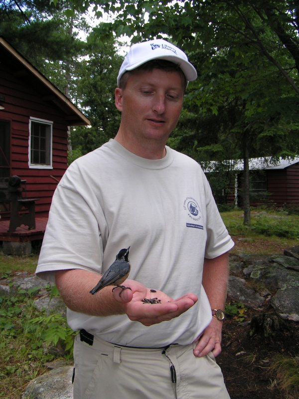 hand feeding a red breasted nuthatch